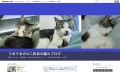 うるうるの☆二匹目の猫☆ブログ