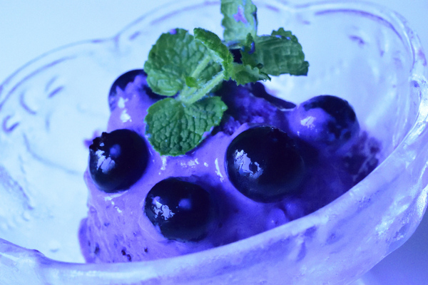 BlueberryIcecream (4)_04.JPG