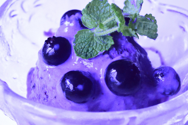 BlueberryIcecream (8)_06.JPG