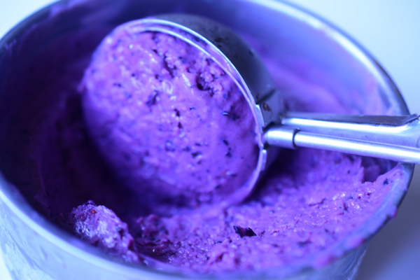 BlueberryIcecreamPC (29)_03.JPG