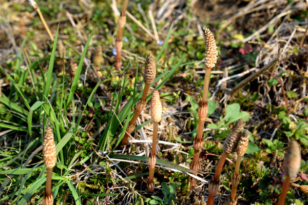 DSC_0687_00001_01.JPG