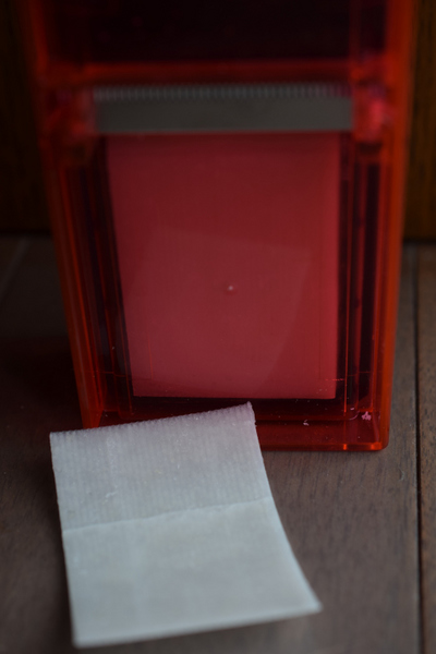 Hakusai Mochi mushini PC (8)_00001.jpg