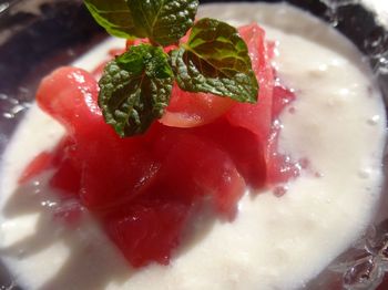 Kogyoku Mushini Yoghurt (4) 750x.jpg