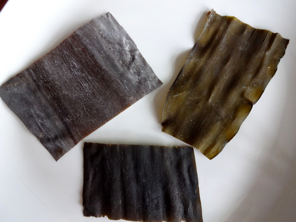 Konbu (4)_00001.jpg