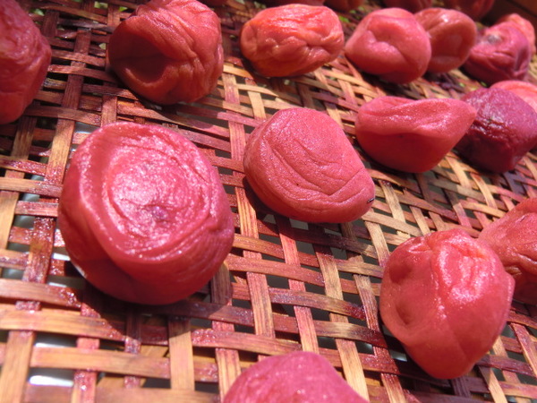 Umeboshi 2014Aug (8).JPG