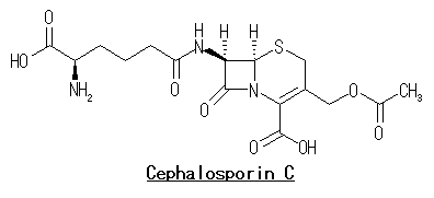 セフェム系_Cephalosporin_C.png
