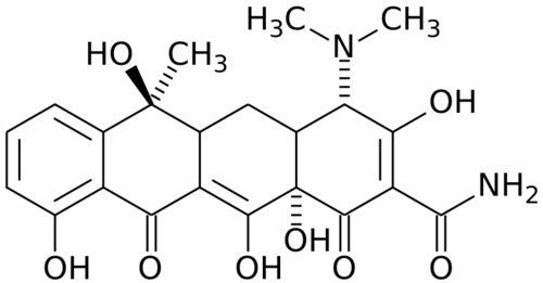 テトラサイクリン-Tetracycline_structure_svg.png