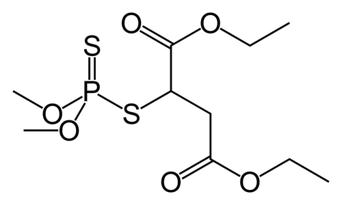 殺虫剤マラチオン-Malathion.png