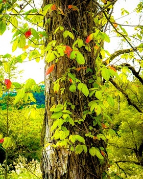 00EB968D-8DDD-463D-A54A-6345FC27F517.jpeg