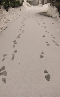 0225footprints.JPG