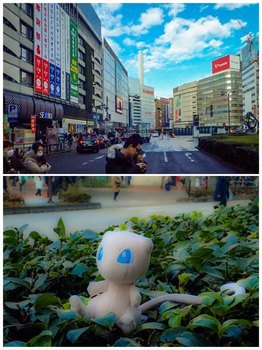 027529CB-3BC1-400B-B4CE-8554D17FC4CD.jpg