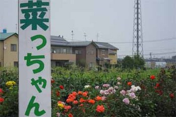 0706natyan01.jpg
