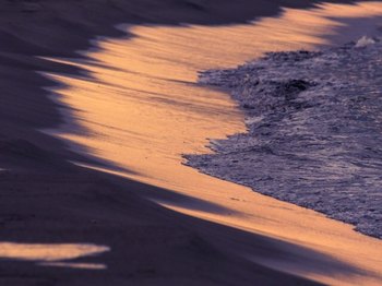 082BFBCB-56C5-45FE-AF99-8C9DF4F84334.jpeg