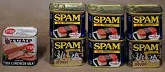 1204spam.jpg