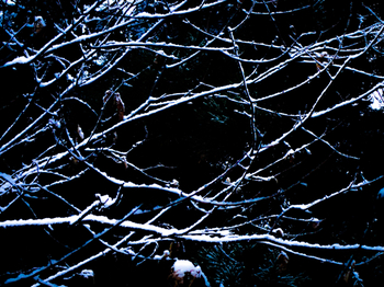 24213D2B-372F-4A78-878B-E897DFA5057E.jpeg