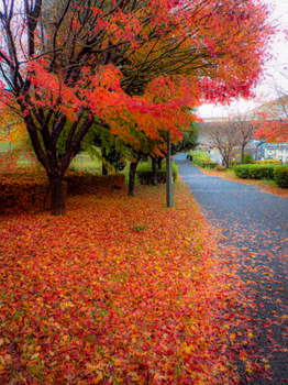 2A5A5890-0F45-454B-BD91-5EE60457C0A5.jpeg