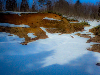 A05ABF00-1A18-46D1-B6F4-128494A06840.jpeg