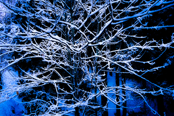 E5DA3D2C-F15C-4E2E-AC25-A28658551FE4.jpeg