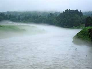 foggyriver.jpg