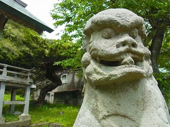 2011_sadolongride_宿根木_白山神社2.jpg