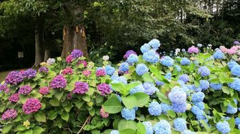 水戸八幡宮・烈公御涼所