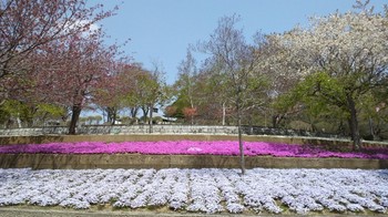 静峰ふるさと公園