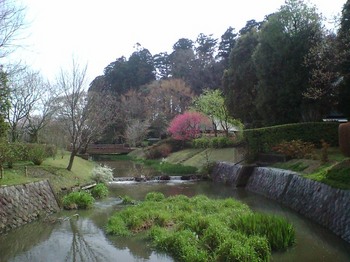 春の千波公園