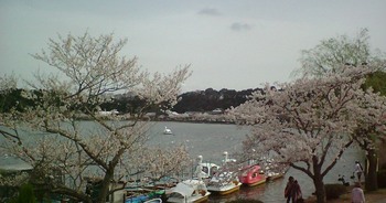 千波湖畔から桜田門外の変オープンセットを望む