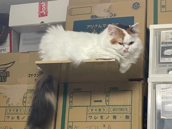 高いところ