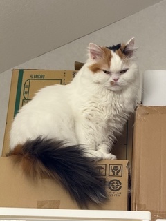 ご不満な様子
