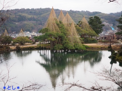 栄螺山から見た、霞が池に映り込む唐崎松