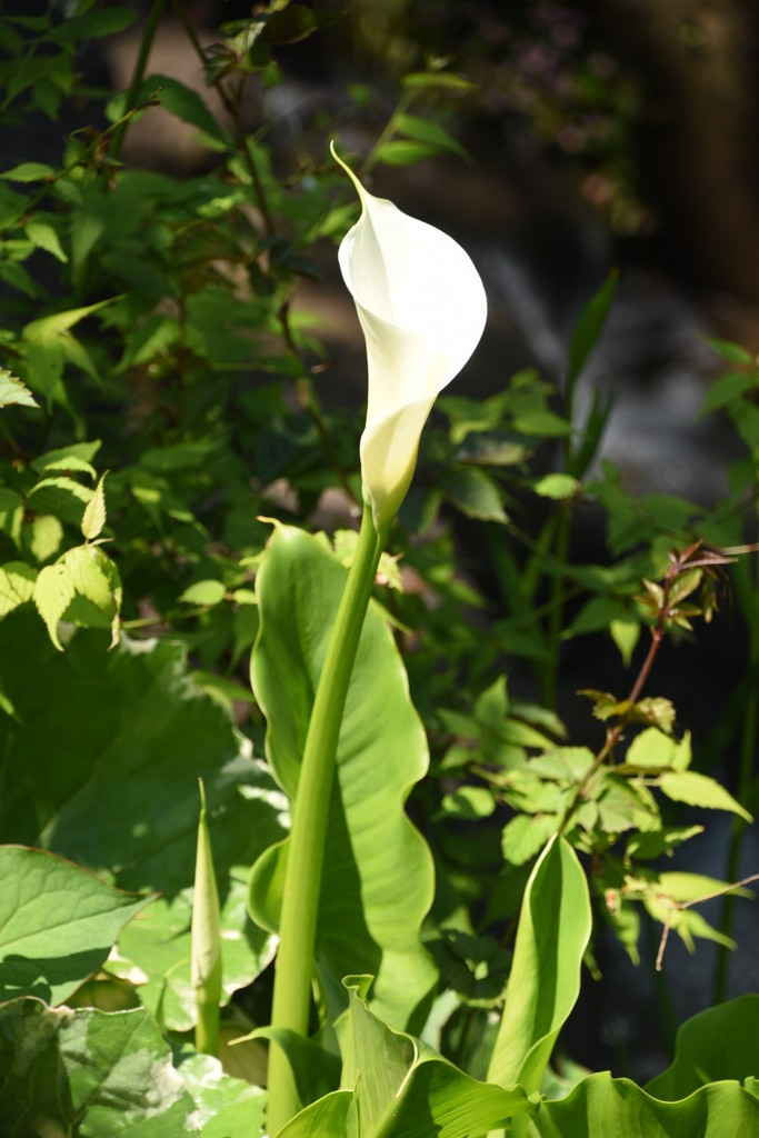 「心を写す」～春夏秋冬～