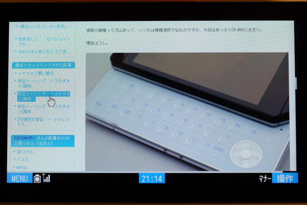 文字サイズ12pでの表示