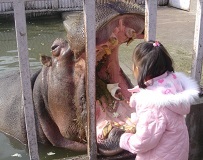 20100111-zoo.jpg