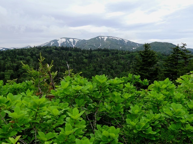 0130706平ヶ岳.jpg