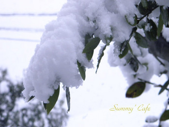 Summy' Cafe Snow -06..jpg