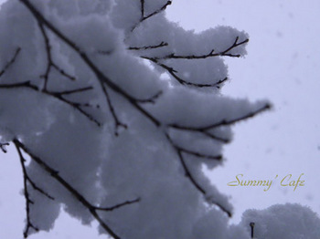 Summy' Cafe Snow -02.jpg