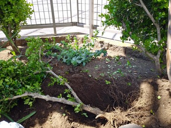 IMG01600_HDR-1160x870.jpg
