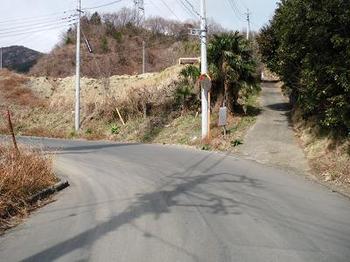 20120219-19.jpg