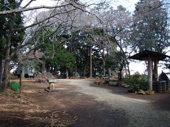 20120219-25.jpg