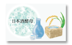日本酒酵母×乳酸菌による保湿成分の角質層ケア.png