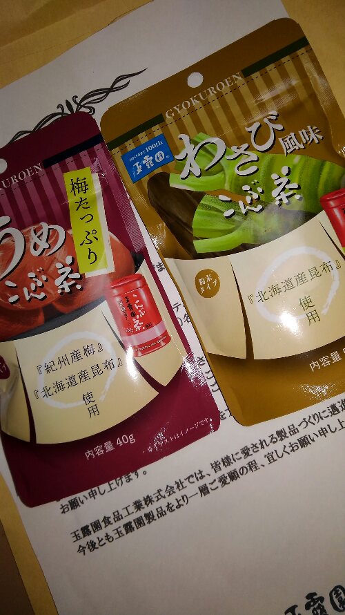ネット生活悪戦苦闘！