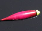 タナゴ釣り_1041.JPG
