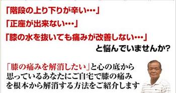 hiza.jpg