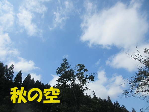 柴犬ロッキーといっしょに。