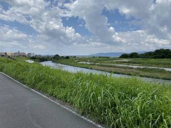 川沿いの道を走る走る
