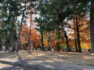 10月20日当時の膳所公園