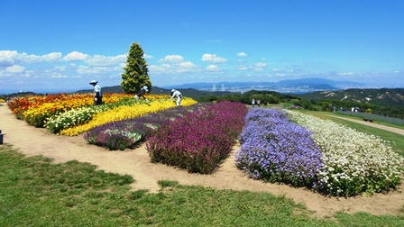 あわじ花さじき1.jpg