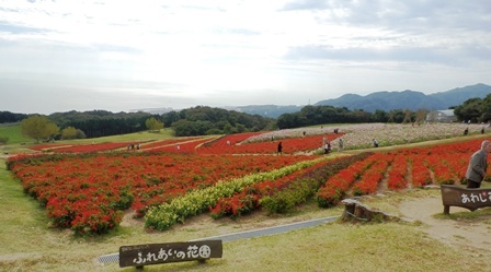 あわじ花さじき10.jpg