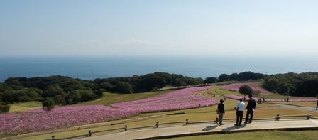 あわじ花さじき10.jpg